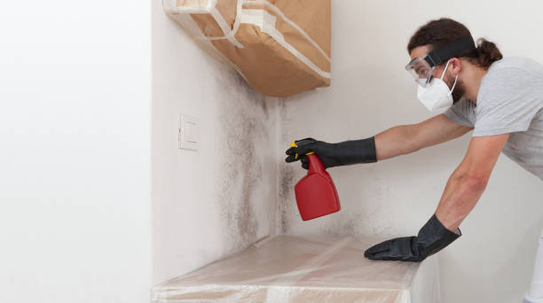 Professional Basement Mold Remediation technician working in Boston, VA